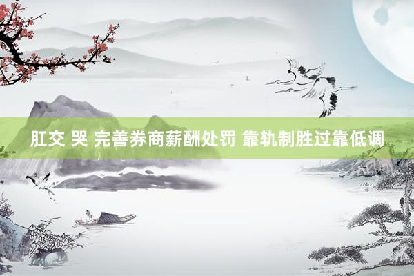 肛交 哭 完善券商薪酬处罚 靠轨制胜过靠低调