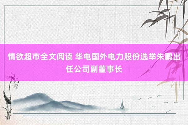 情欲超市全文阅读 华电国外电力股份选举朱鹏出任公司副董事长