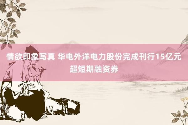 情欲印象写真 华电外洋电力股份完成刊行15亿元超短期融资券