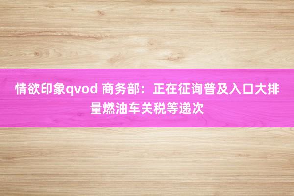 情欲印象qvod 商务部：正在征询普及入口大排量燃油车关税等递次