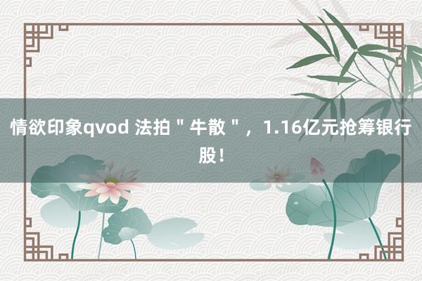 情欲印象qvod 法拍＂牛散＂，1.16亿元抢筹银行股！