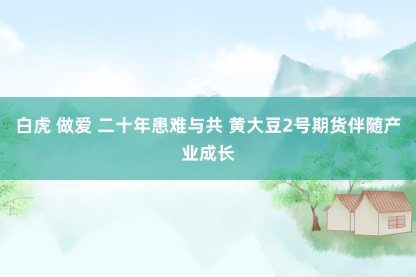 白虎 做爱 二十年患难与共 黄大豆2号期货伴随产业成长