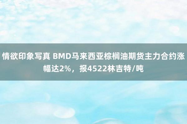 情欲印象写真 BMD马来西亚棕榈油期货主力合约涨幅达2%，报4522林吉特/吨
