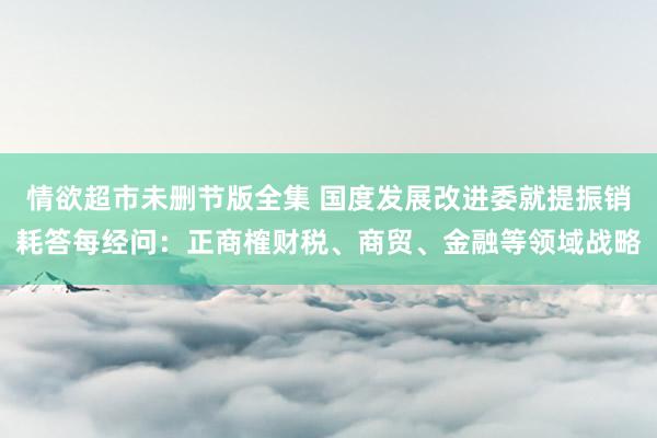 情欲超市未删节版全集 国度发展改进委就提振销耗答每经问：正商榷财税、商贸、金融等领域战略