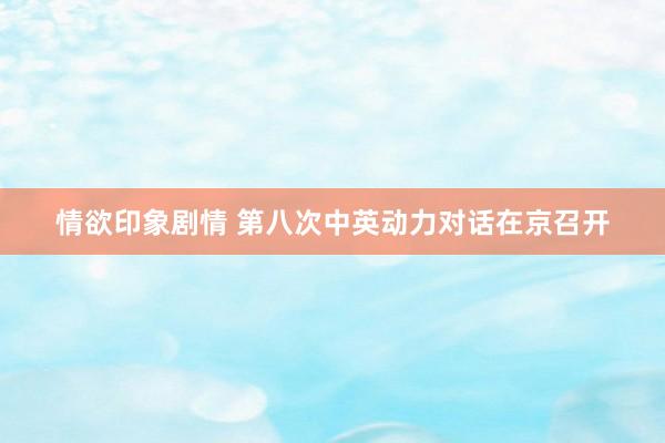 情欲印象剧情 第八次中英动力对话在京召开